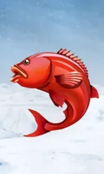 Ice Fishing